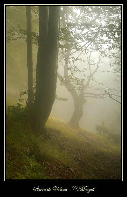 Sierra de Urbasa