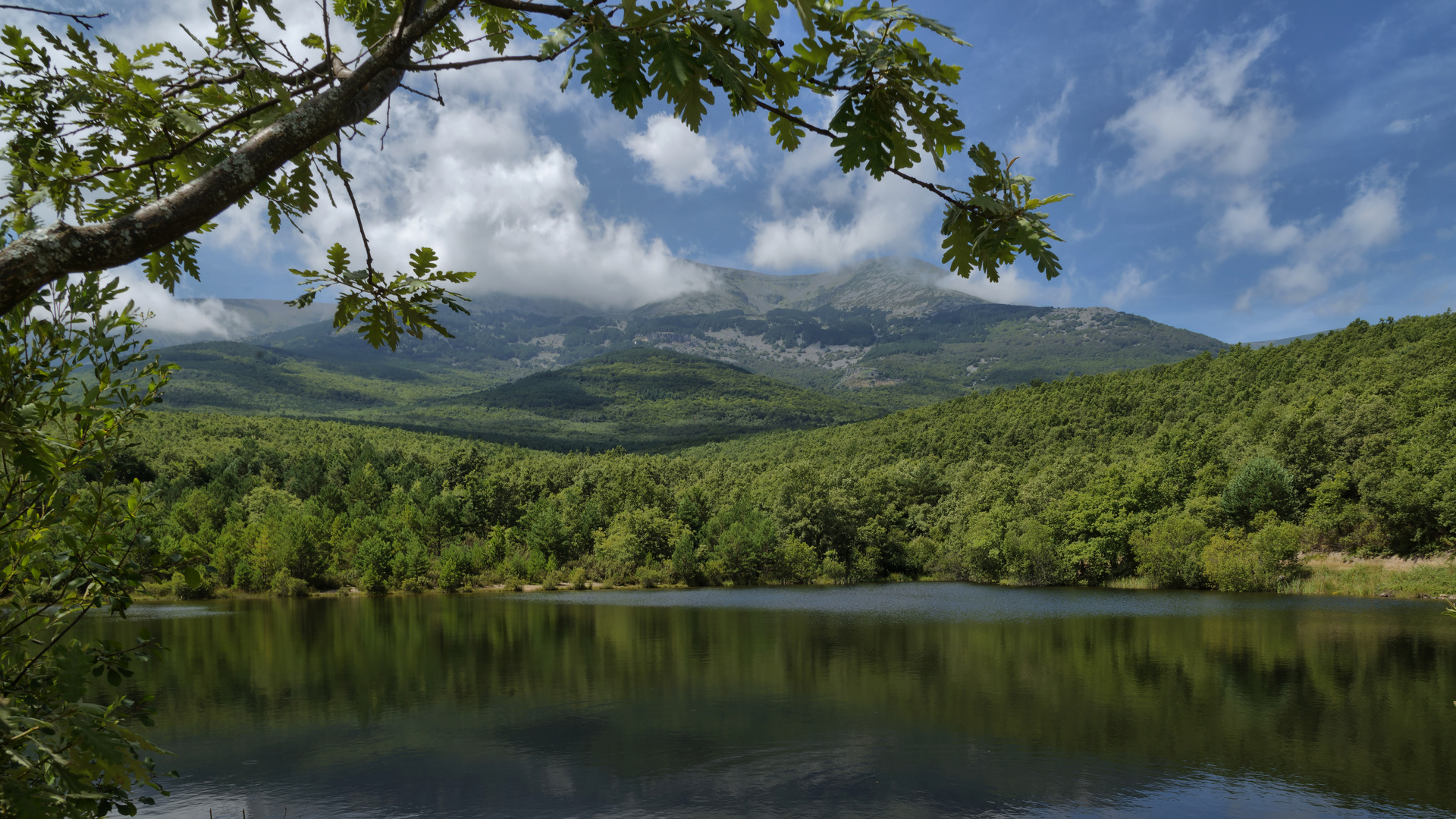 SIERRA DEL MONCAYO