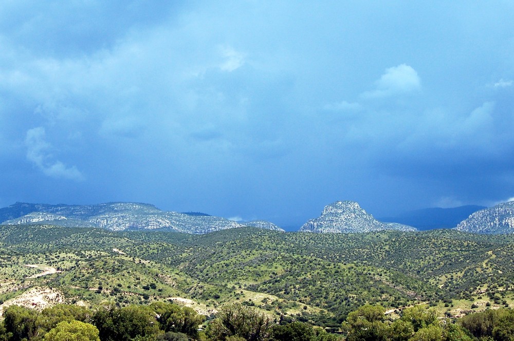 Sierra duranguense