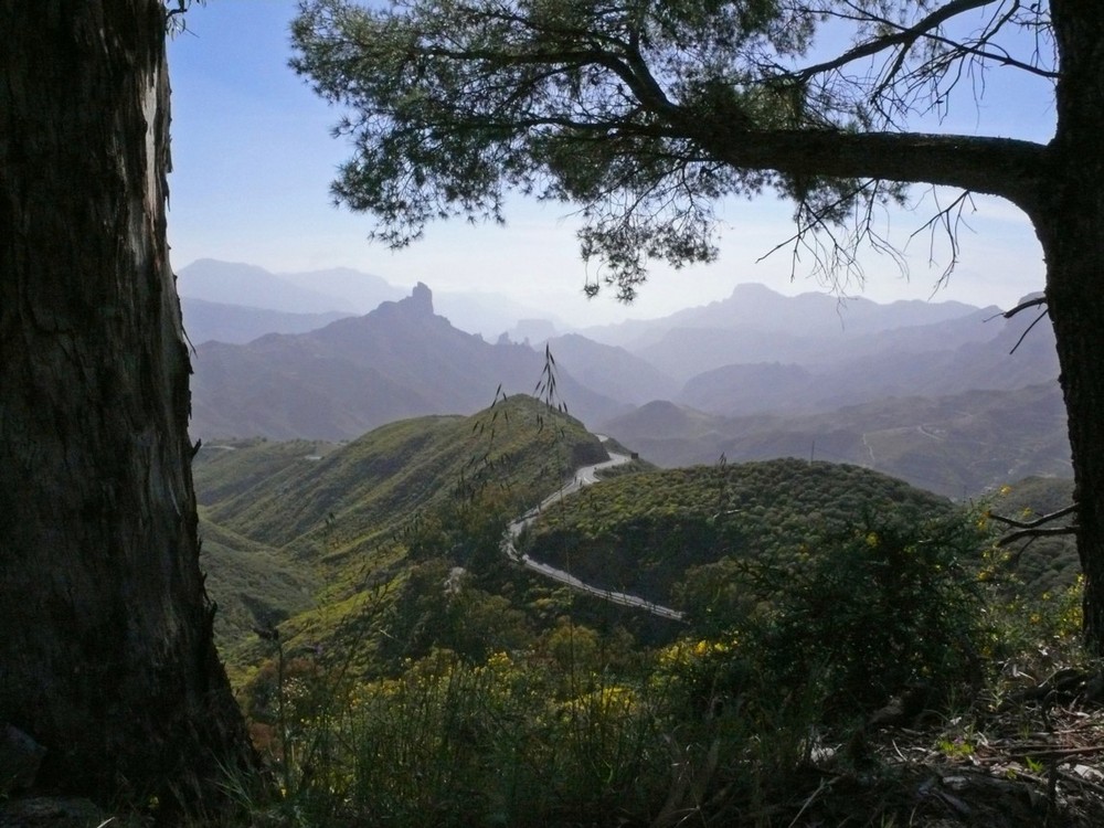 Sierra Gran Canaria 2