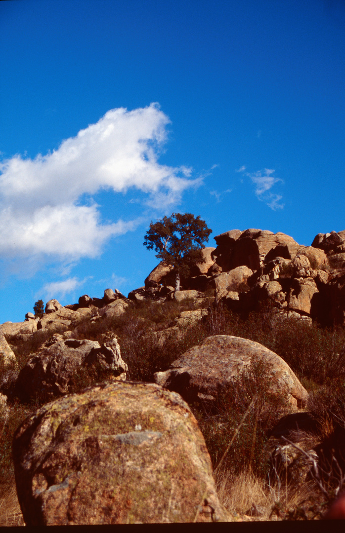 Sierra Guardarrama 2009