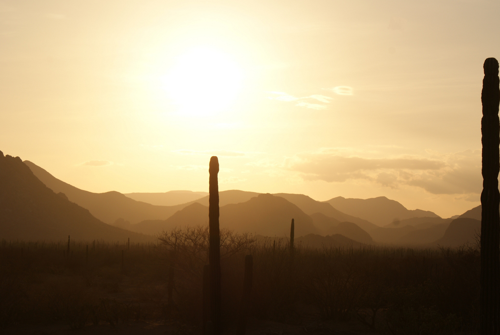 Sierra La Giganta, Baja California Sur, México.