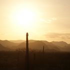 Sierra La Giganta, Baja California Sur, México.