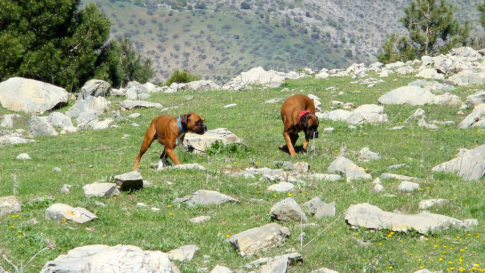 SIERRA MAGINA