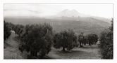 Sierra Mágina de Alfonso Alcalde Colmenero 