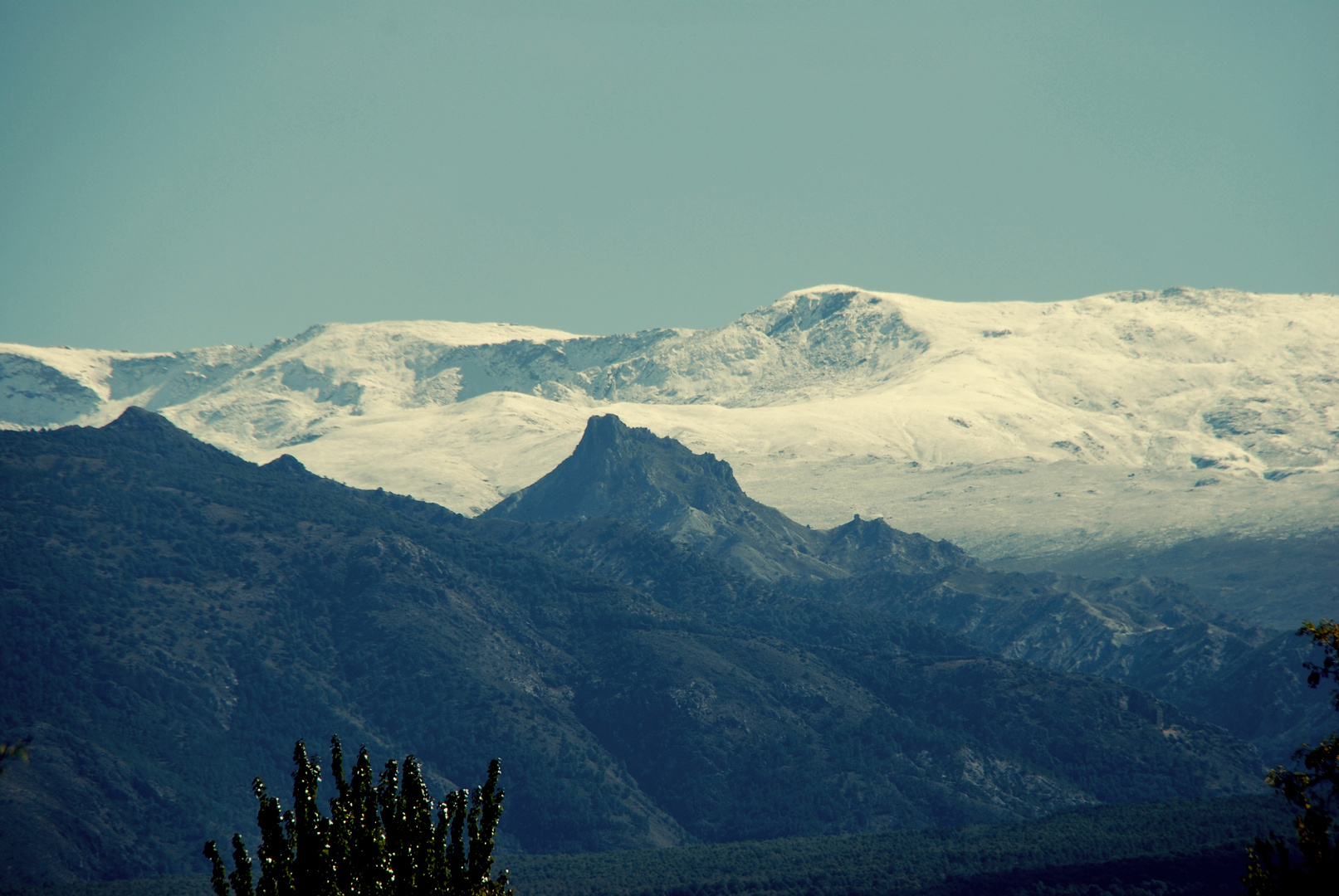 Sierra Nevada