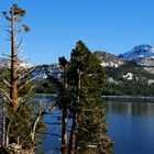 Sierra Nevada