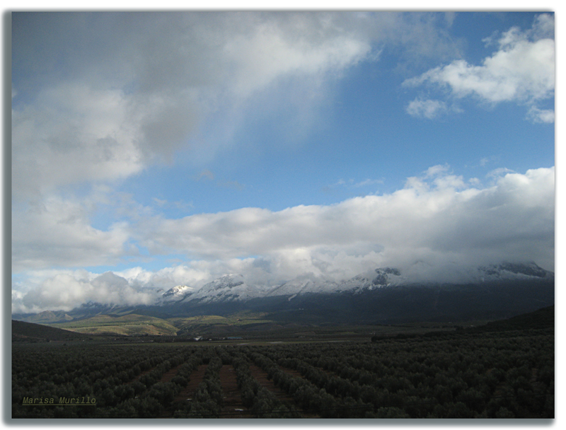 Sierra Nevada a lo lejos