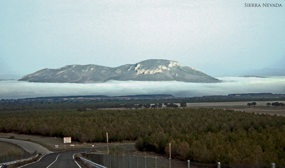 sierra nevada