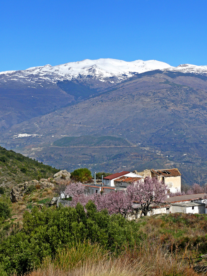 Sierra Nevada desde la Contraviesa