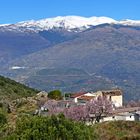 Sierra Nevada desde la Contraviesa