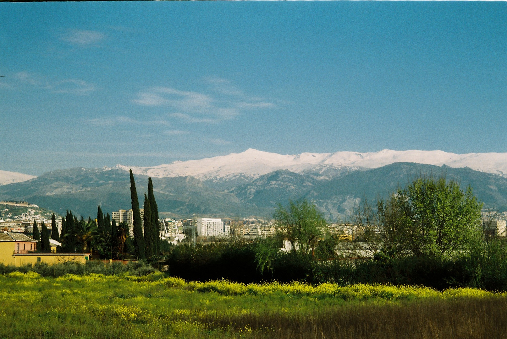 Sierra nevada desde la vega granadina