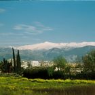 Sierra nevada desde la vega granadina