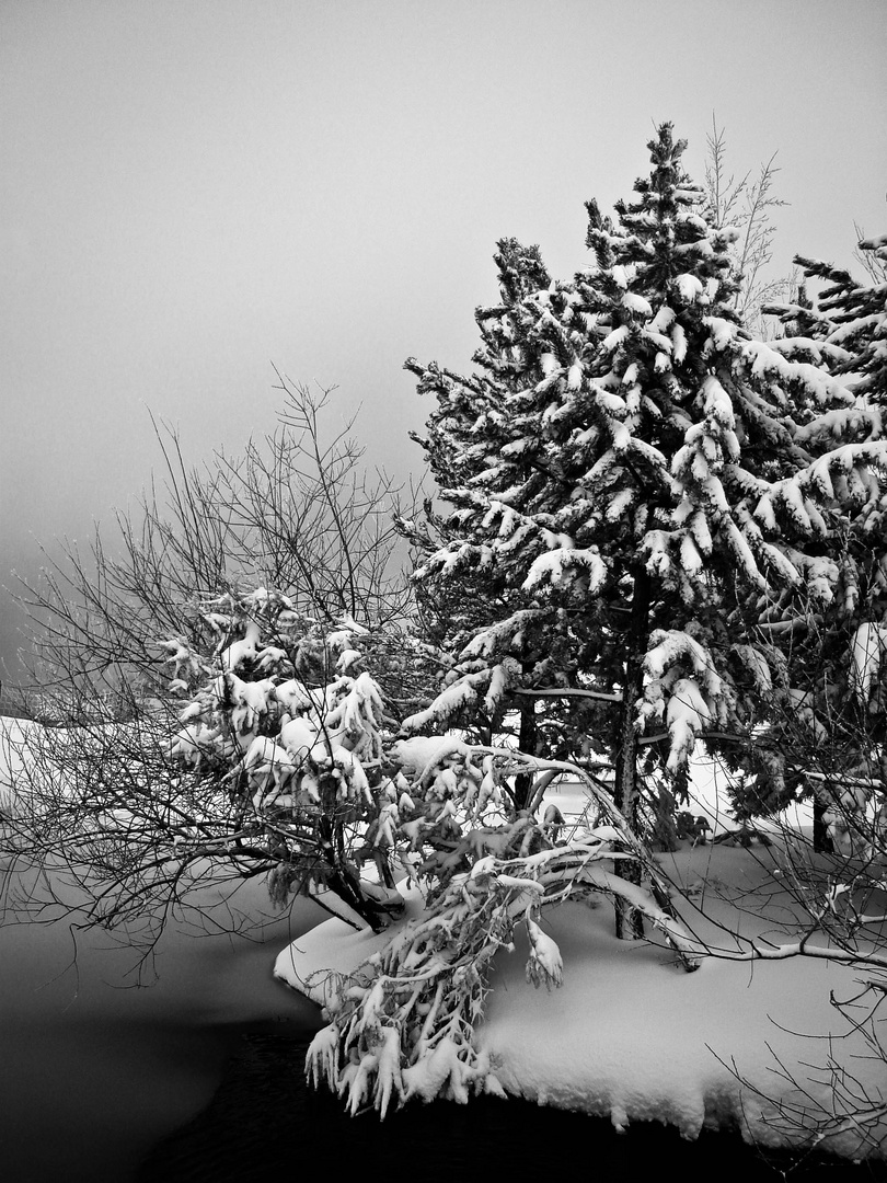 Sierra Nevada. Estación de Borreguiles 03