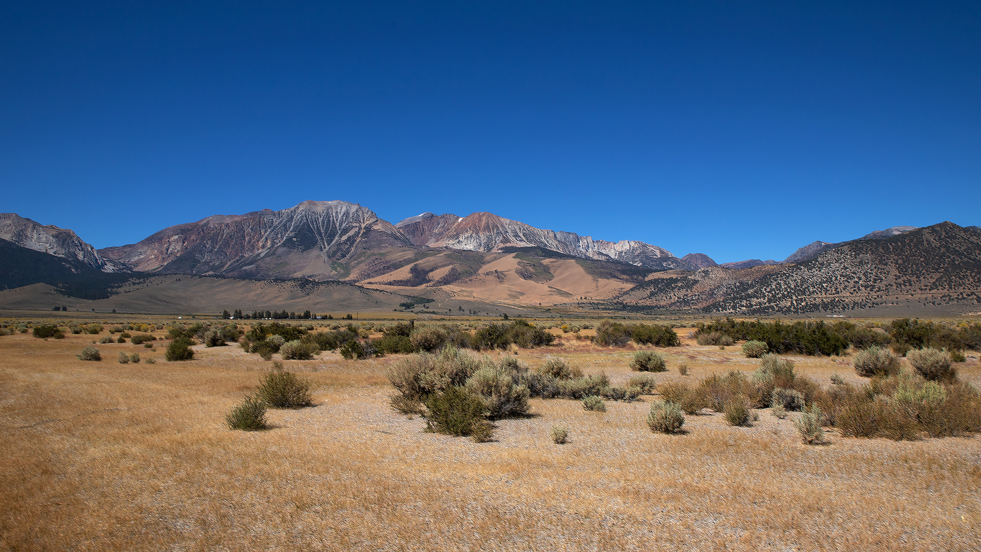 Sierra Nevada