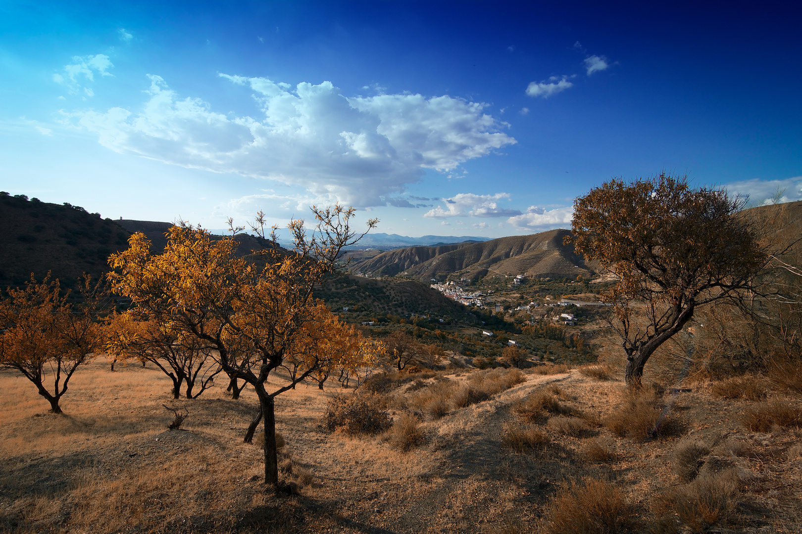 Sierra Nevada