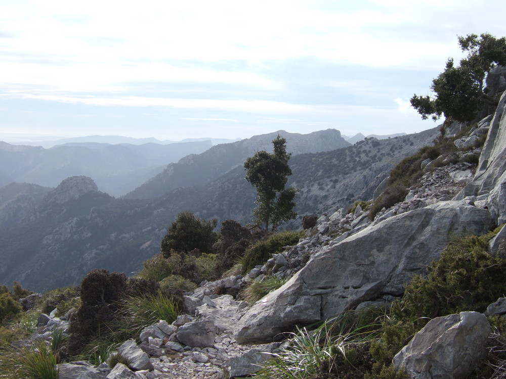 Sierra Tramuntana auf Mallorca im Januar