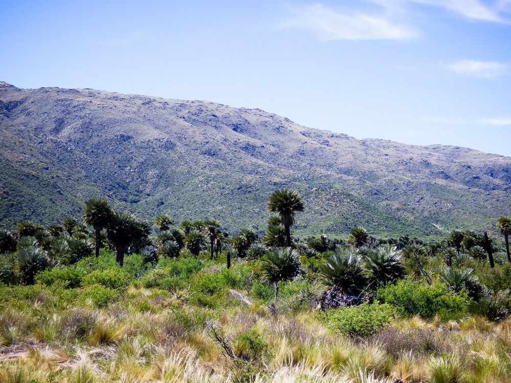 Sierras de Comechingones II