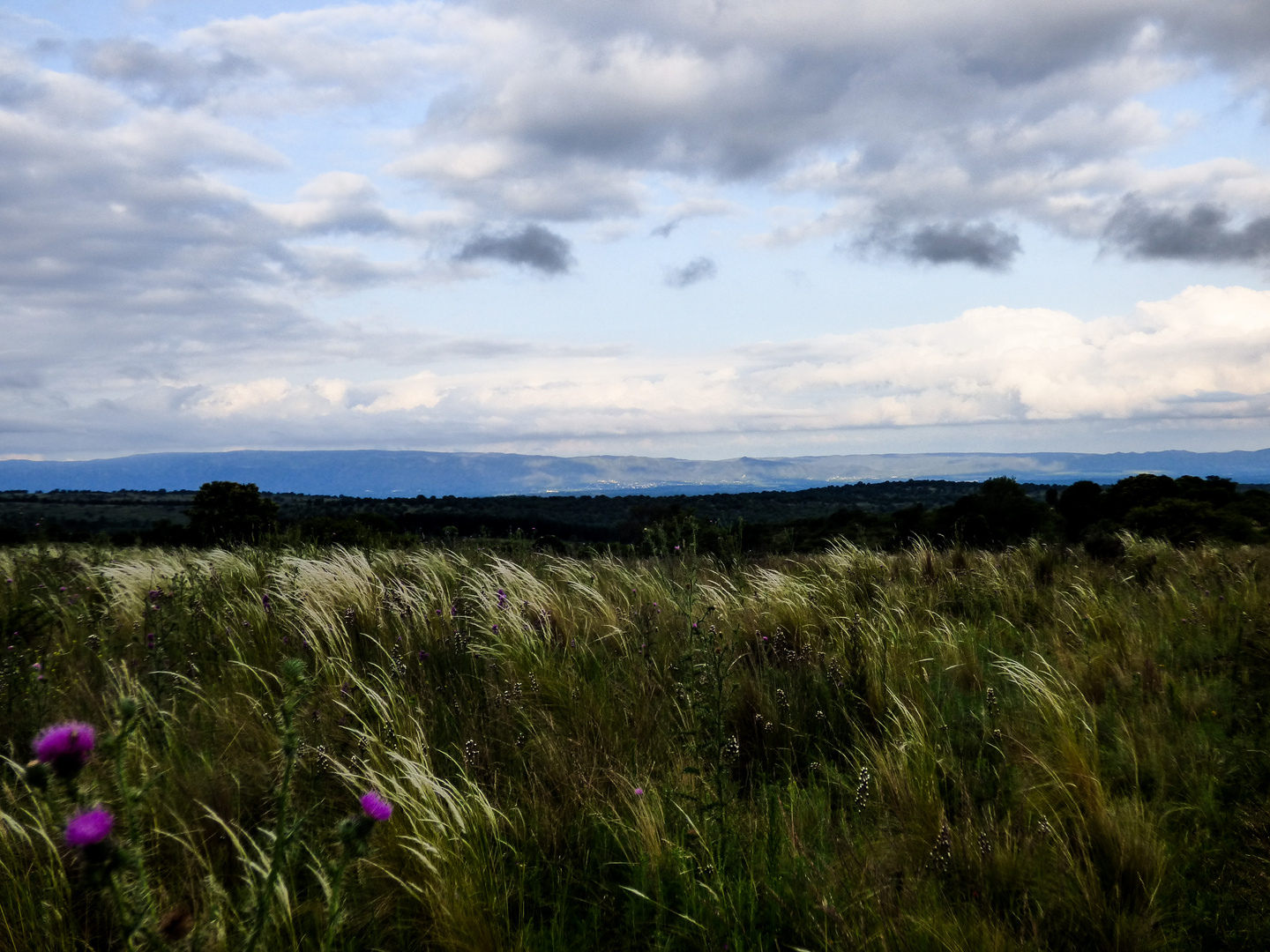 Sierras de Córdoba