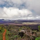 Sierre Negra Krater - Isabela, Galapagos