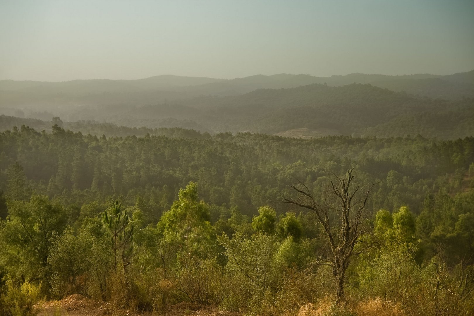 Sierrea de Huelva