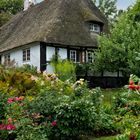 Sieseby an der Schlei - Idylle im Grünen