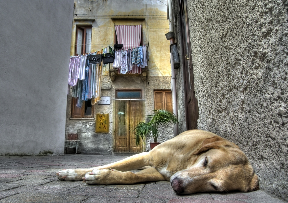 Siesta