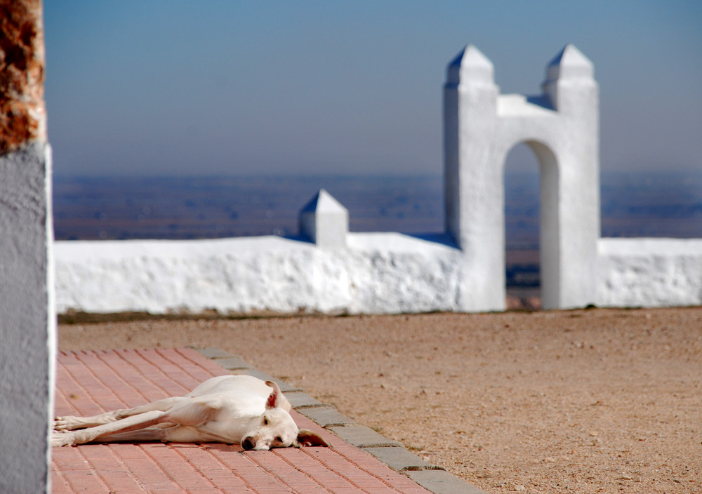 Siesta