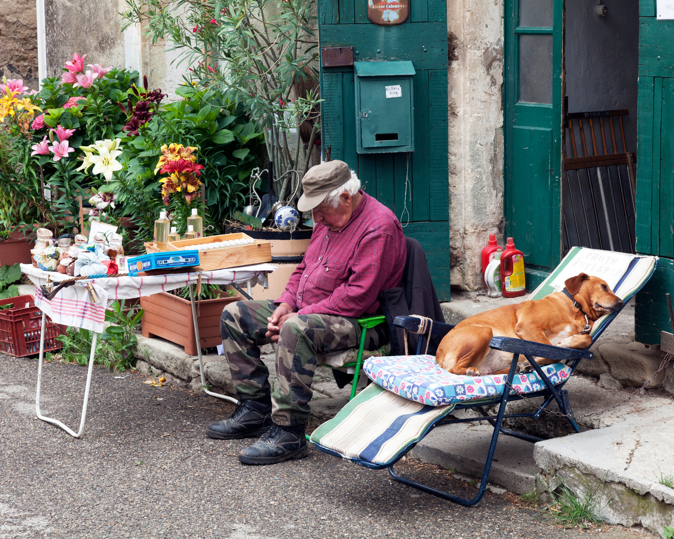 Siesta