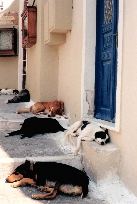 Siesta by Bernd Hohenstein