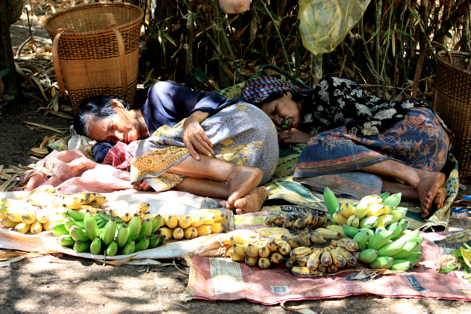 siesta