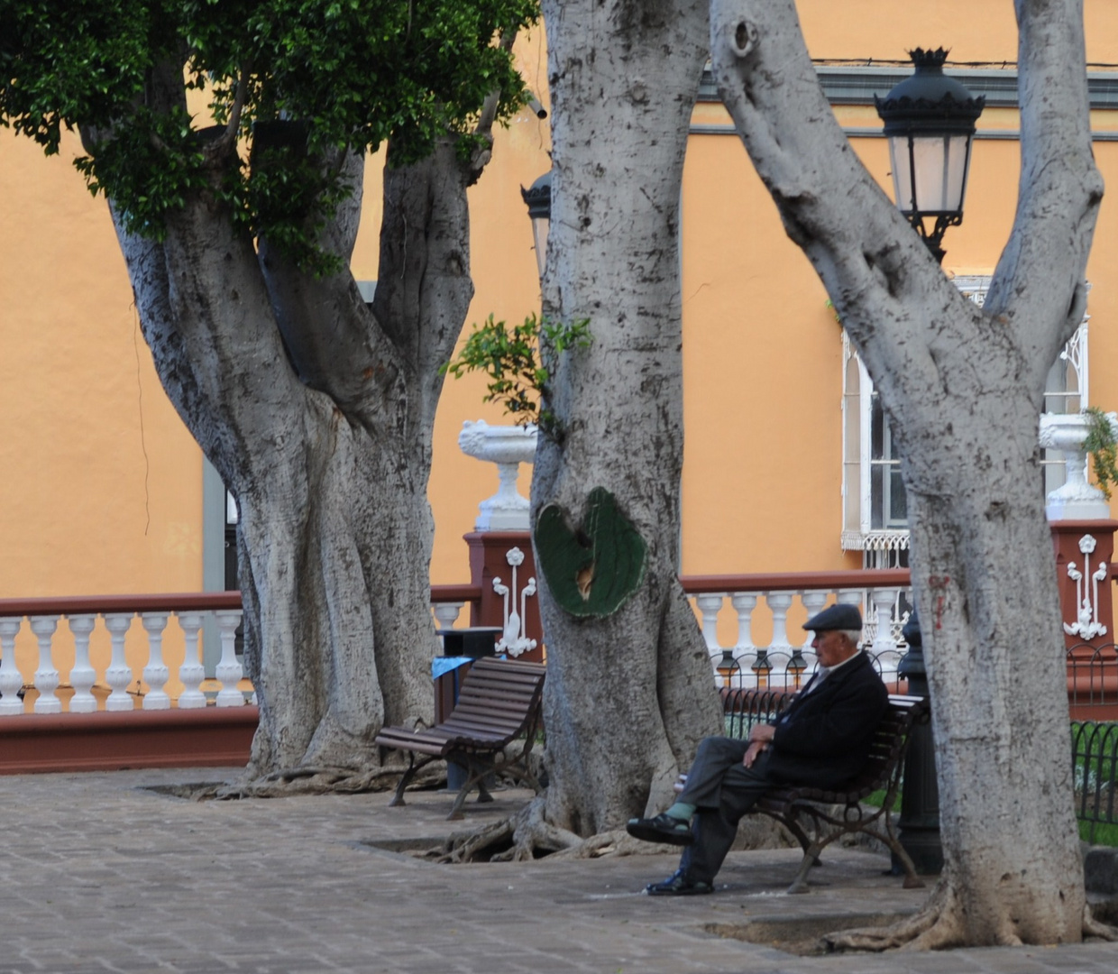 siesta