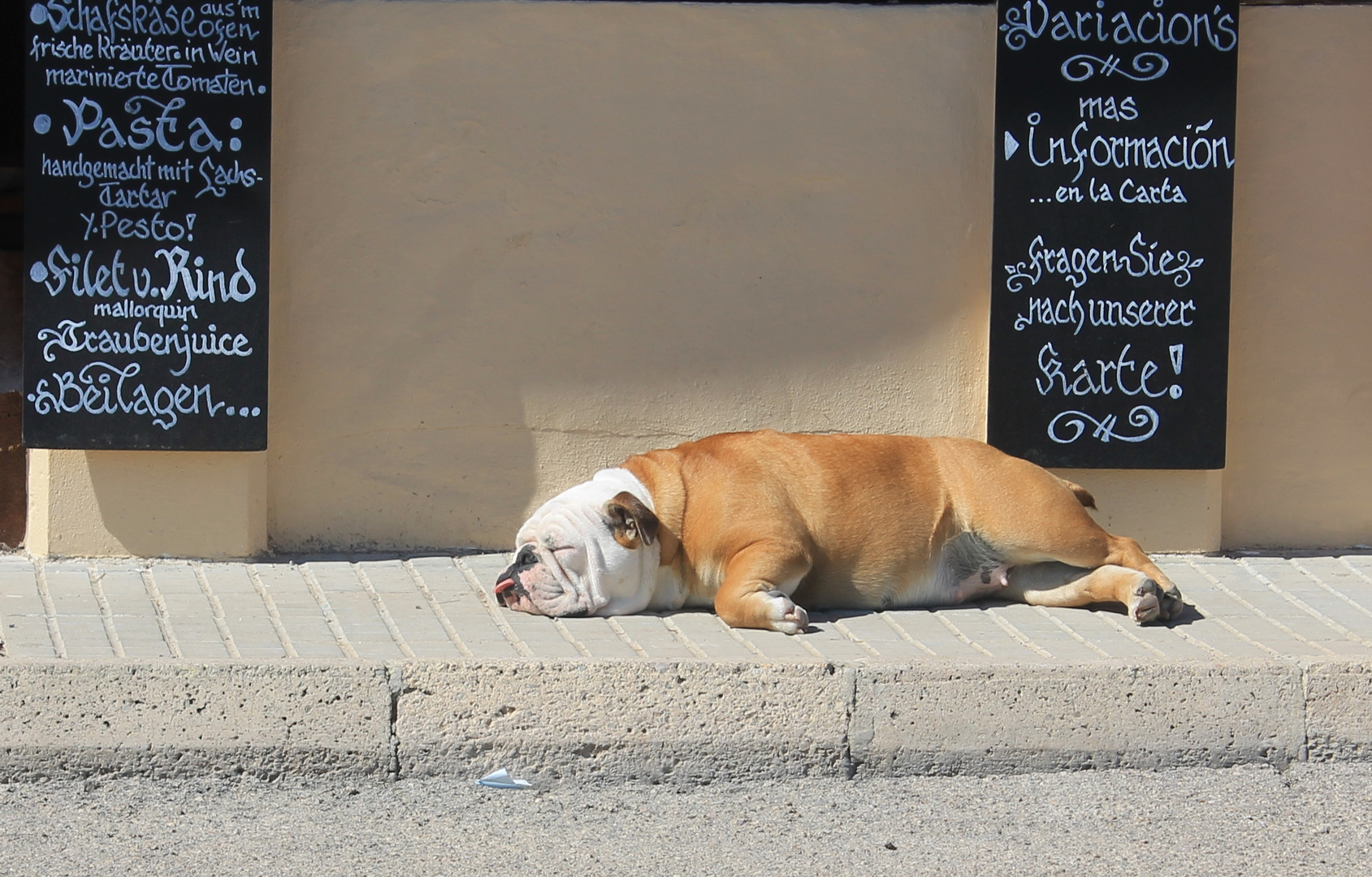 Siesta