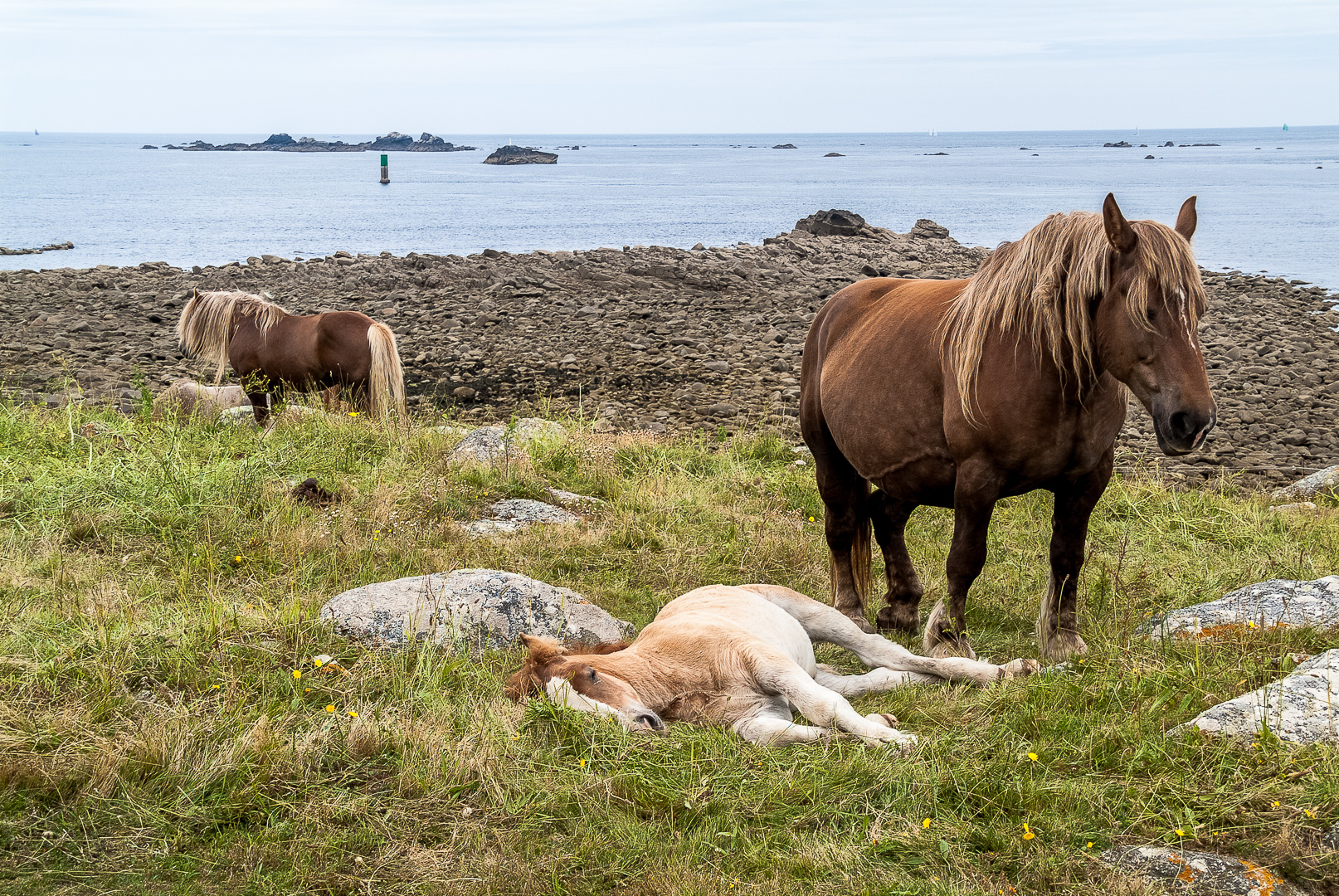 siesta...