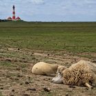 Siesta am Fusse des Leuchtturms