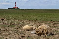 Siesta am Fusse des Leuchtturms