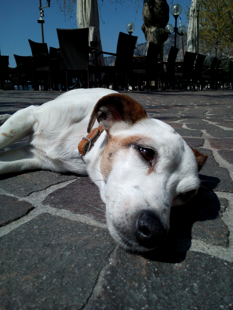 Siesta am Gardasee 