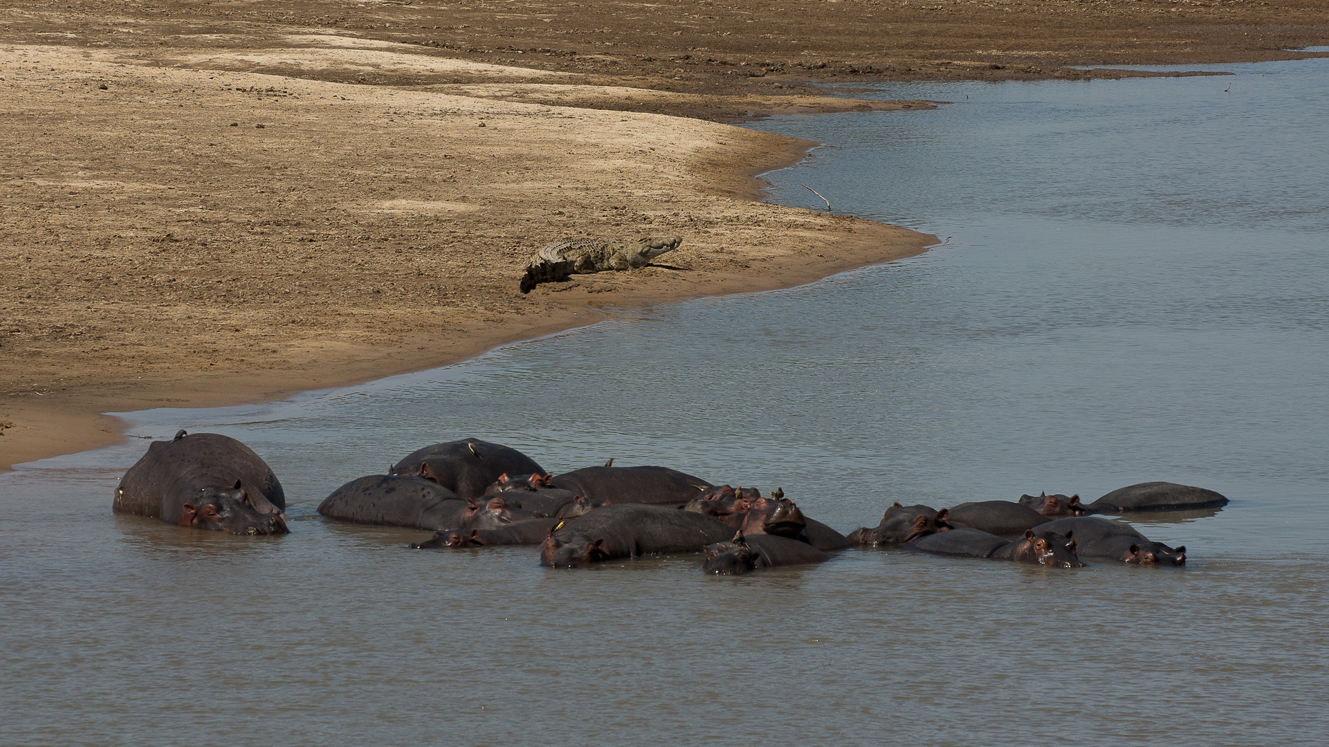 Siesta am Luangwa / North-Luangwa NP / 16.06.2013