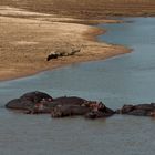 Siesta am Luangwa / North-Luangwa NP / 16.06.2013