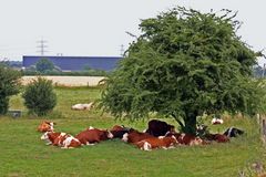 Siesta am Niederrhein