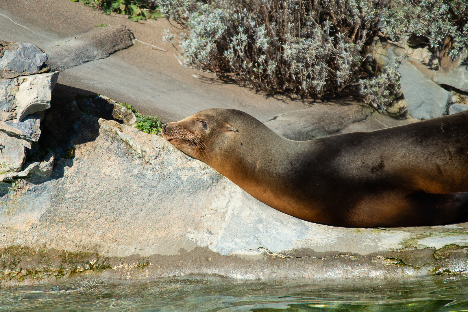 Siesta am Pool. 