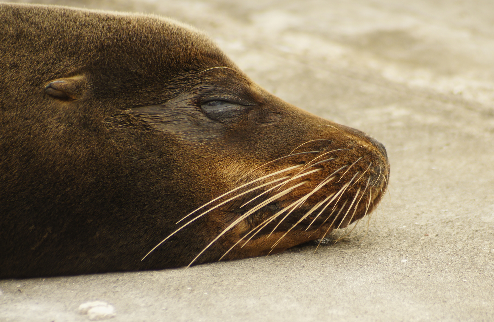 Siesta am Strand