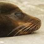 Siesta am Strand