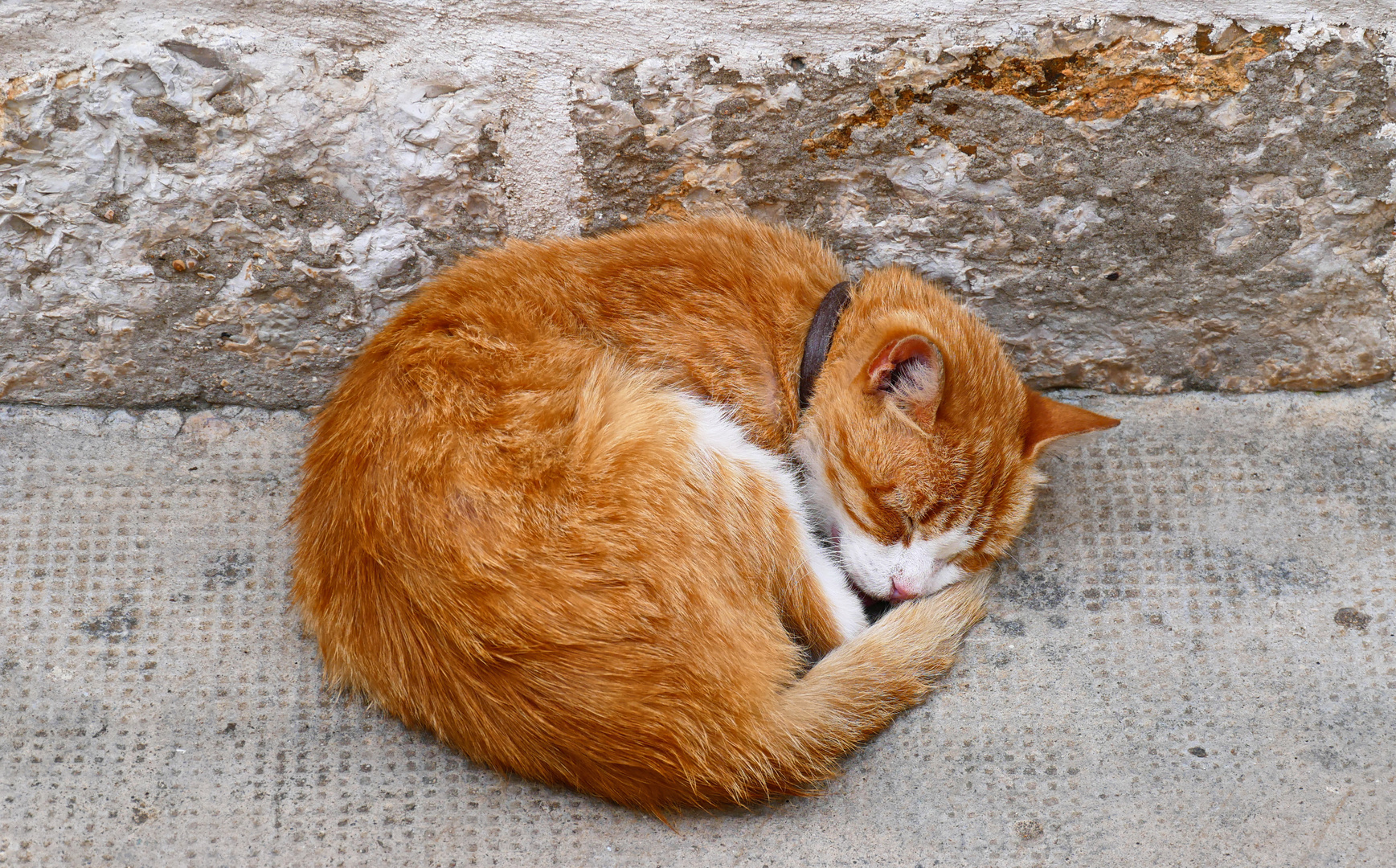 Siesta am Straßenrand