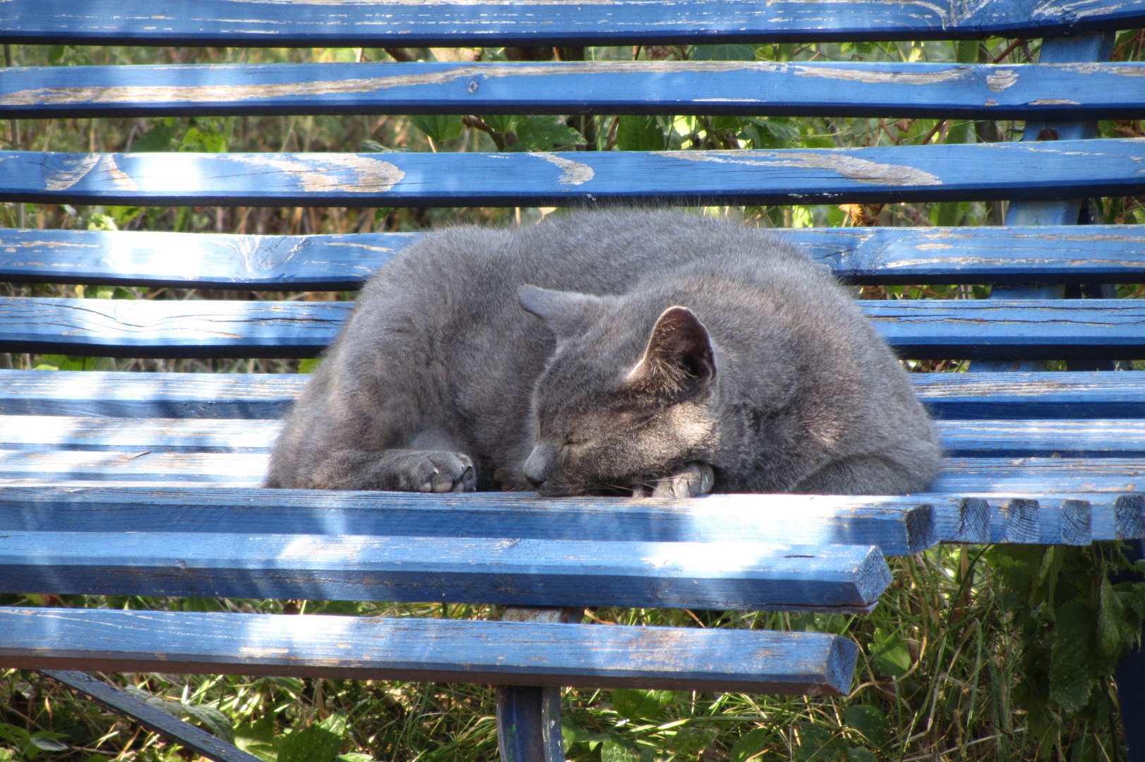 Siesta auf der blauen Bank