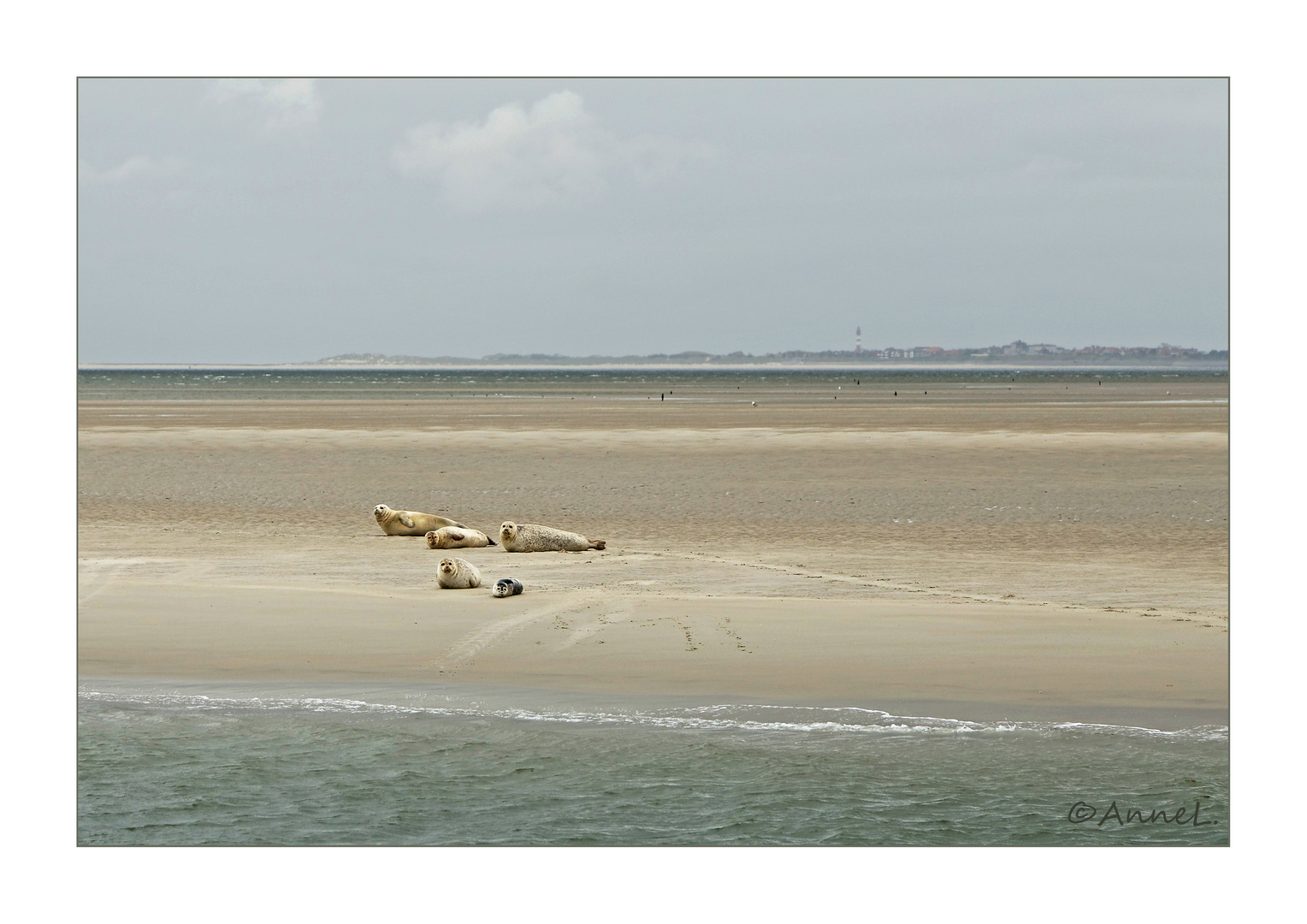 Siesta auf der Sandbank