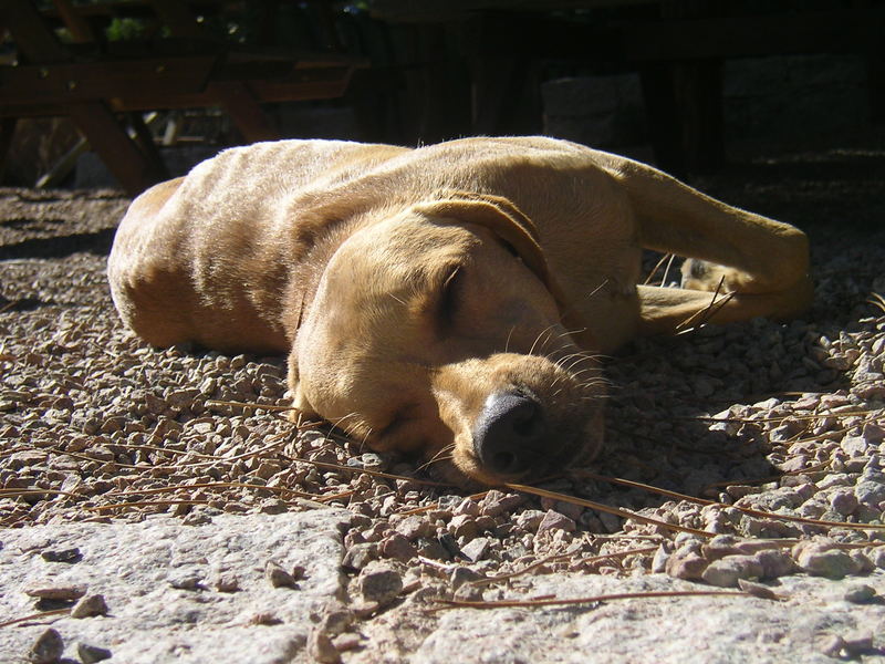 Siesta auf Korsika