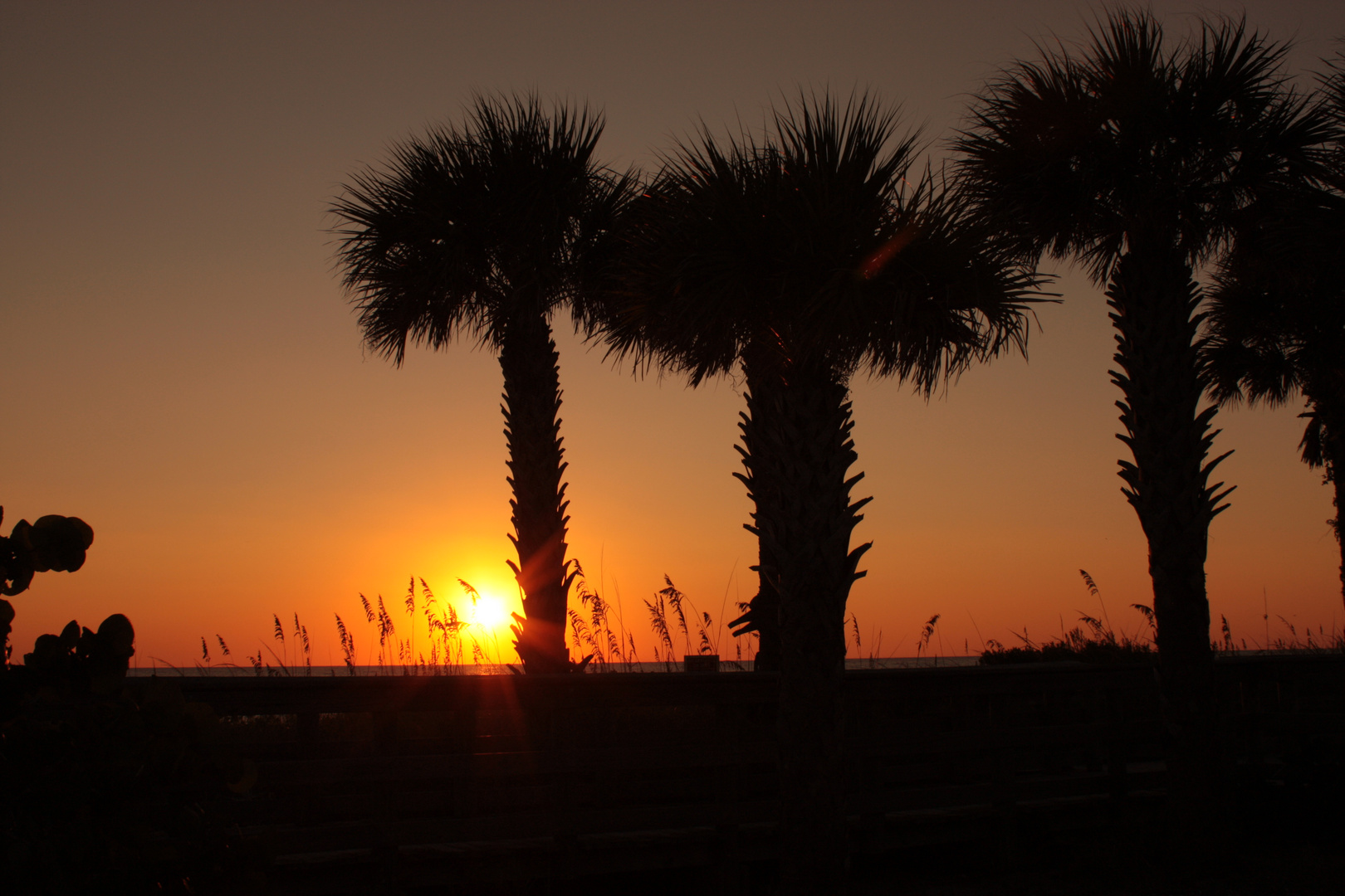 Siesta Beach, Sarasota, FL, United States