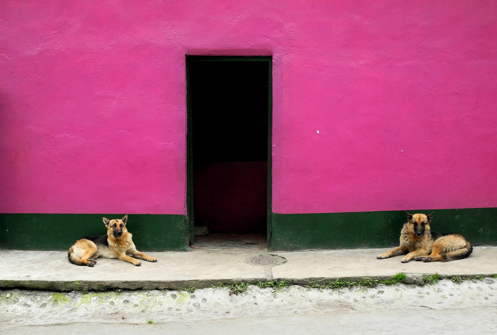 Siesta colombiana