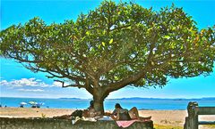 Siesta Costa Rica